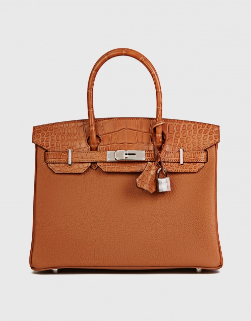 Hermès Hermès Birkin 30 Togo Leather Crocodile Handle Handbag-Gold Silver  Hardware (Top Handle)